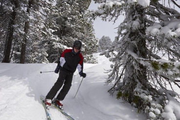 Skifahrer, Skiwanderweg, Skiweg, verschneite Baeume, Zilletalarena, Zillertal, Tirol, Oesterreich